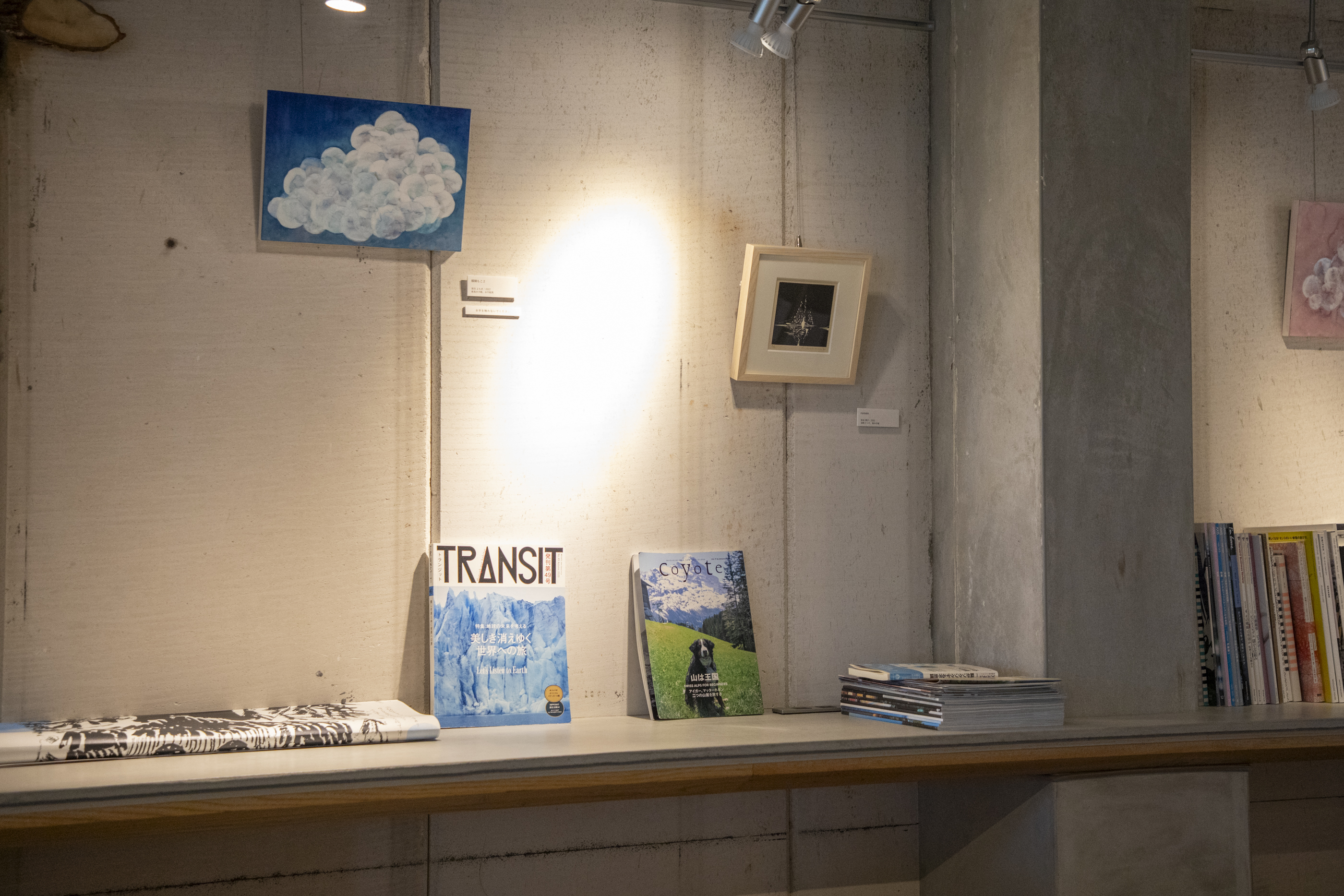 煎 SEN ギャラリー